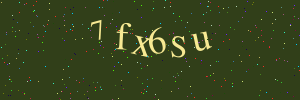 Validation image