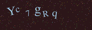 Validation image